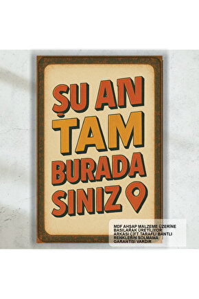 şu an tam buradasınız komik duvar yazıları esprili sözler retro ahşap poster tablo