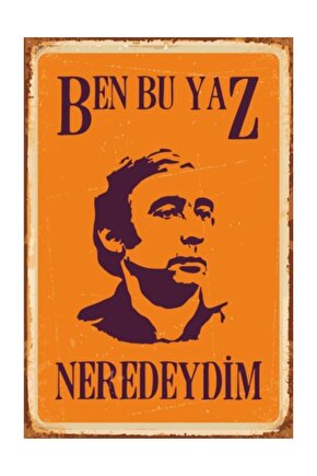 Ben Bu Yaz Neredeydim Şener Şen Yeşilçam Retro Vintage Ahşap Poster