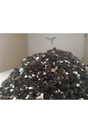 Torf , Özel Karışım 10 Lt