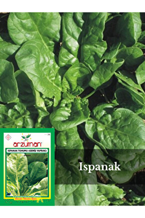 Ispanak Tohumu (Geniş Yaprak) 10gr