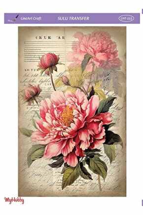 Lineart Sulu Transfer LNT223 25x35cm