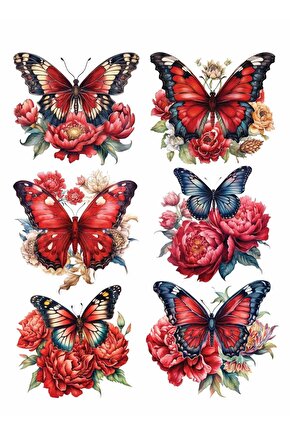 Sulu Transfer Kağıdı Lnt-187 25x35 Cm