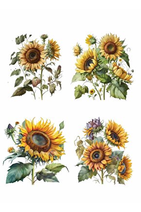 Lineart Sulu Transfer LNT205 25x35cm