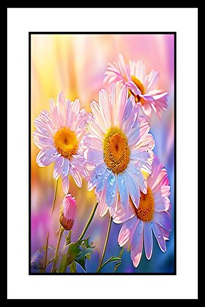 Güneşe Açana Papatyalar Digital Art ( ÇERÇEVESİZ - ÇERÇEVE YOKTUR ) ( ULTRA HD ) FOLYO AFİŞ - POSTER