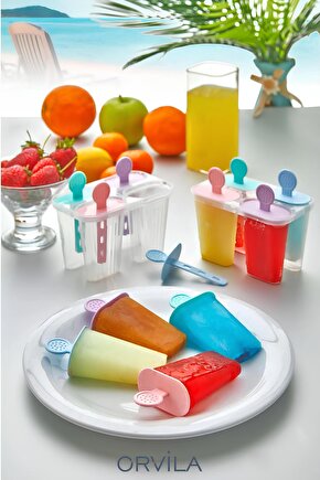 4lü Dondurma Kabı ve Meybuz Kalıbı Kabı