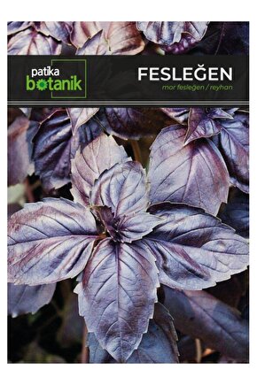 Life 250 Adet Mor Fesleğenreyhan Tohumu