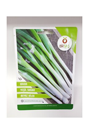 Yeşil Soğan Tohumu