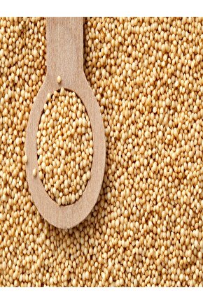 Amarant (AMARANTH) Tohumu 250 gr