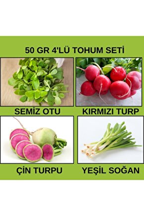 50 Gr  - 4 Çeşit  Sebze Tohumu (SEMİZ OTU,KIRMIZI TURP,YEŞİL SOĞAN,ÇİN TURPU)