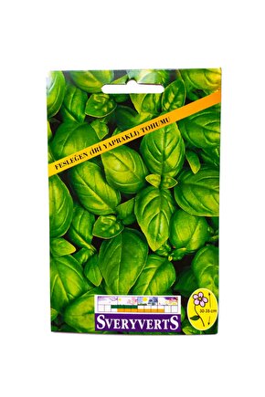 Fesleğen İri Yapraklı Çiçeği Tohumu