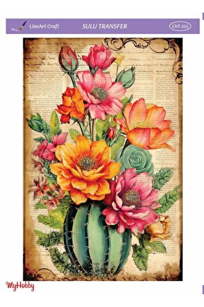 Renkli, Kaktüs Desenli Sulu Transfer LNT-215 25x35