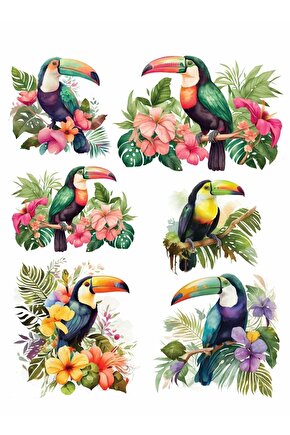 Sulu Transfer Kağıdı Lnt-127 25x35 Cm