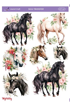 Lineart Sulu Transfer LNT247 25x35cm