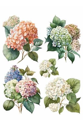 Sulu Transfer Kağıdı Lnt-120 25x35 Cm