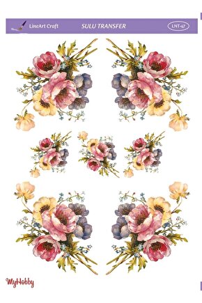 Sulu Transfer Lnt47 25x35cm