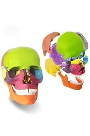 Kafa Maketi 15Parça Küçük Boy Model 34