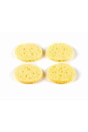 Tedavi 4 Lüvakum Süngeri Fizik