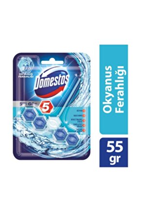 5li Güç Okyanus Ferahlığı Tuvalet Bloğu 55 gr