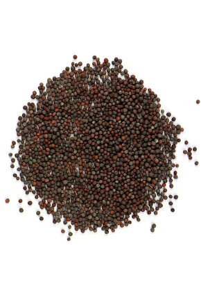 Siyah Hardal Tohumu 50gr