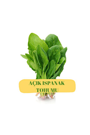 Ispanak Tohumu (AÇIK)50g