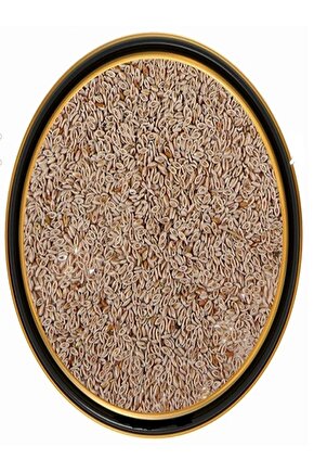Karnıyarık Otu Tohumu (psyllium) 50 Gr