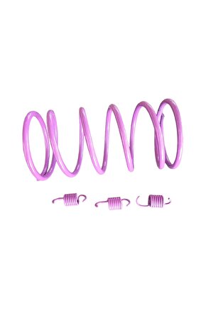 Speed Up Honda Dio 125CC Motosiklet Arka Varyatör Yayı + Balata Yayı