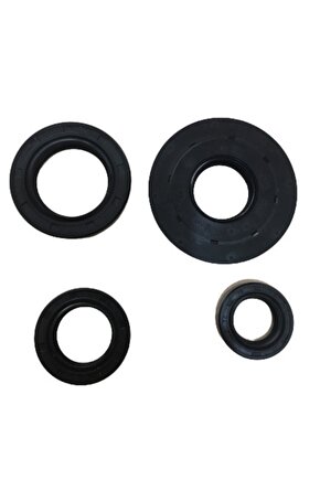 Honda Spacy 110alpha Dylanps 150 Keçe Seti 4lü