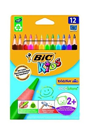 Kids Evolution Üçgen Jumbo Kuru Boya Kalemi 12`li Kutu 3086124001632
