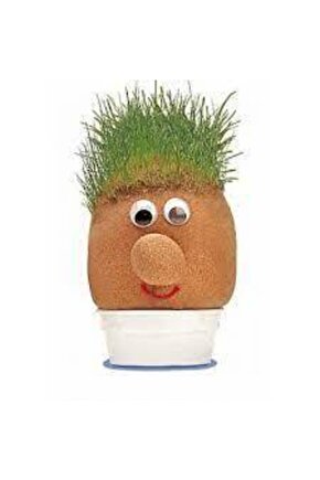 Çim Adam Yapım Seti