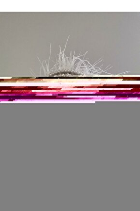 Beyaz Tüy ve İnci Işıltısı Taç