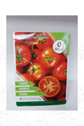 Domates Falcon Tohumu