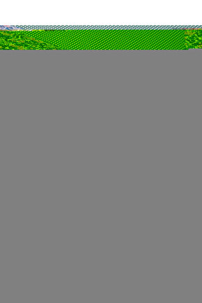 225CM Yükseklik X 500CM Genişlik Doğal Bambu Kamış Hasır Çit Dekoratif Bahçe Balkon ve Duvar Çiti .