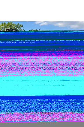 LCW Sarı Çiçek Baskılı Cam Su Bardağı 3lü 280 Ml