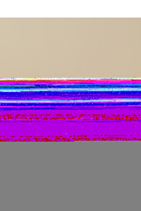 15 Adet Doğal Pampas Kuru Çiçek ile Evine Şık Dokunuş