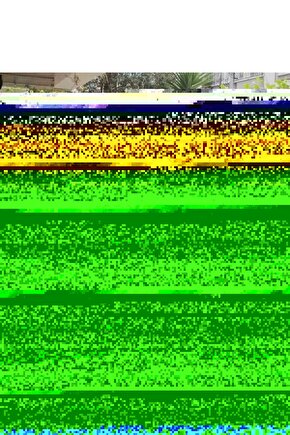 Lenore Polyester Masa Örtüsü Gold