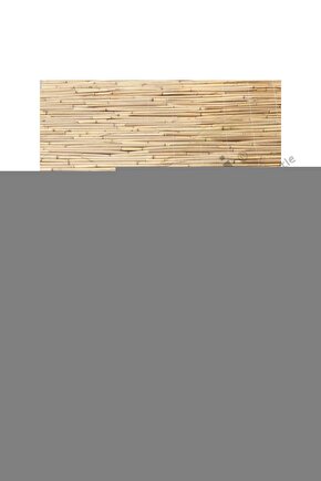 +achroactive+zdrave Krem Saniye Törin