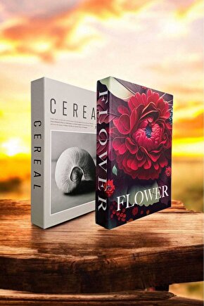 Dekoratif Kitap Görünümlü Kutu 2li Set Decorative Book Looking Box