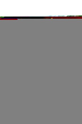 Seramik Başlangıç Seti Bs83