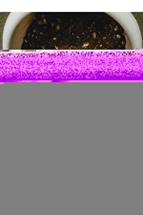 Nat 05 Pimapen Pvc Pimapen Pencere Kapı Contası Fitili (Gri) (20 Metre)