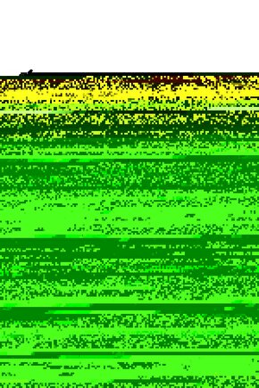 Gülkurusu Büzgülü Dolama Tokalı Bone