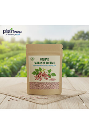 Oturak Barbunya Tohumu (45 Tohum)
