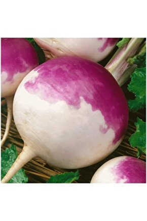 Şalgam Tohumu 25 Gr Tohum Aksaray Tohumculuk