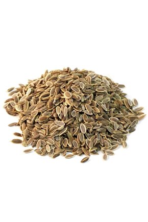 Yerli Dere Otu Tohumu 500 Adet