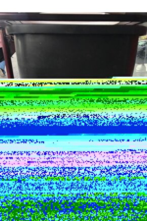 200 gr- Biberiye Otu Çayı, Biberiye Yaprağı, Kuş Dili, Rosmarinus Officinalis