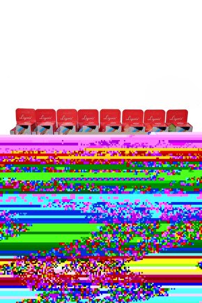 4 Adet Buz Aküsü  Buz Kasedi  Ice Box Buz Kalıbı  Buz Akusu