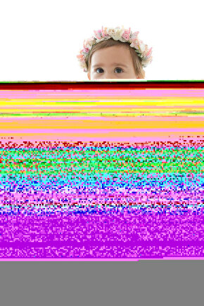 MAXFORCE FLY BAİT 100 GR KARASİNEK İLACI