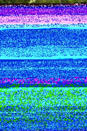 750 ml Cam Yağdanlık – Şeffaf Zeytinyağı ve Sıvı Yağ Şişesi, Cam Yağlık, Mutfak Sunum Kabı
