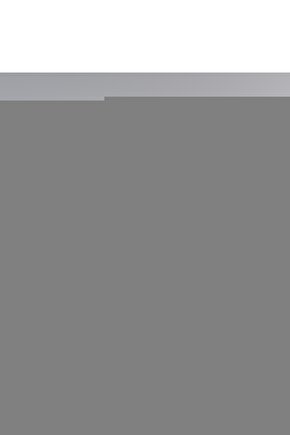 Elephone Winnovo T2 10Standlı Tablet Kılıfı+Nano Kırılmaz Ekran Koruyucu+Dokunmatik Kalem