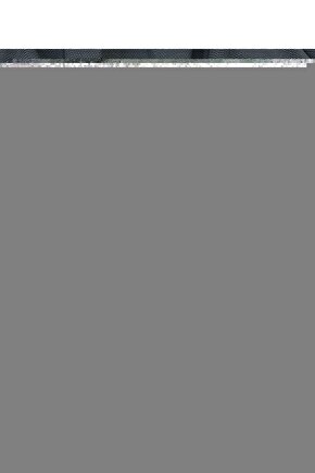 Kablosuz Mikrofonlu Bluetooth Hoparlör Toplantı Parti Eğlence Led Işık Sd Kart Fm Usb Giriş Speaker