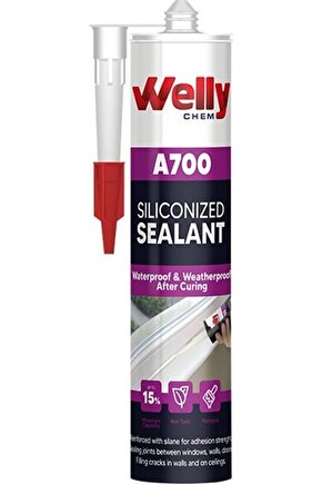 Welly Mastik 450gr Beyaz
